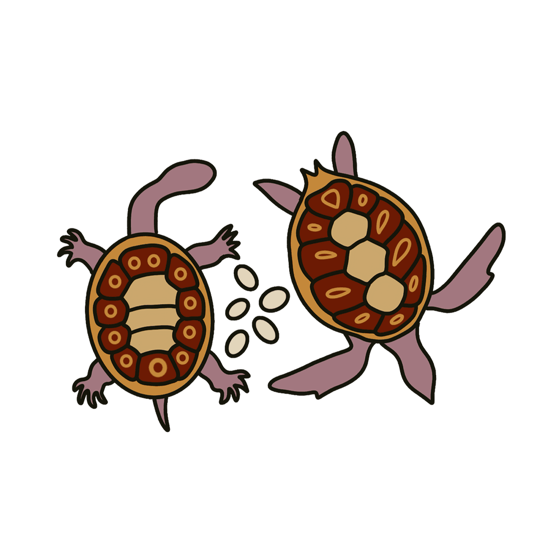 Just Turtles 2026 PSANZ
